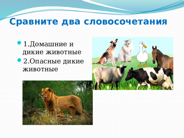 Сравните два словосочетания   1.Домашние и дикие животные 2.Опасные дикие животные 