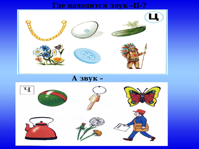 Где находится звук –Ц-? А звук –Ч-? . 
