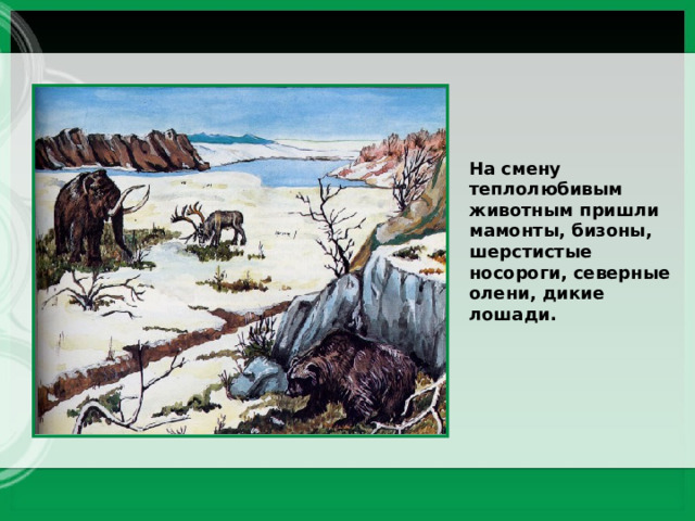 На смену теплолюбивым животным пришли мамонты, бизоны, шерстистые носороги, северные олени, дикие лошади. 