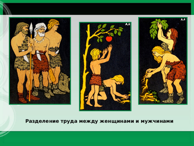 Разделение труда между женщинами и мужчинами 