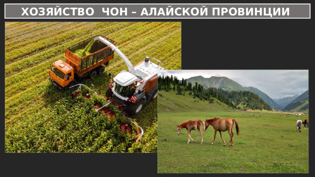 ХОЗЯЙСТВО ЧОН – АЛАЙСКОЙ ПРОВИНЦИИ 