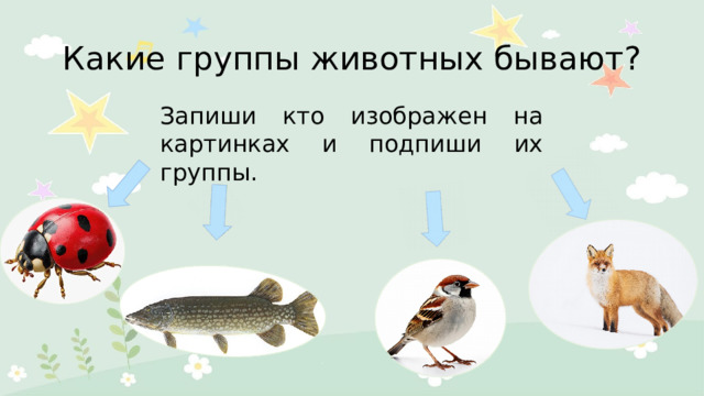 Какие группы животных бывают? Запиши кто изображен на картинках и подпиши их группы. 