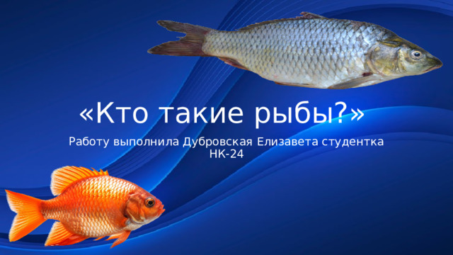 «Кто такие рыбы?» Работу выполнила Дубровская Елизавета студентка НК-24 