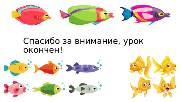 Спасибо за внимание, урок окончен! 