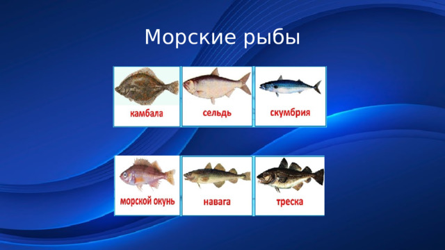 Морские рыбы 