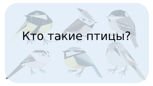 Кто такие птицы? 