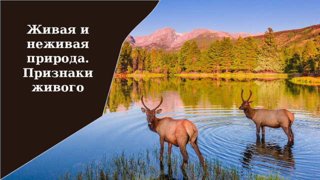 Живая и неживая природа. Признаки живого 