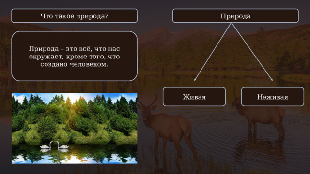 Что такое природа? Природа Природа – это всё, что нас окружает, кроме того, что создано человеком. Живая Неживая 