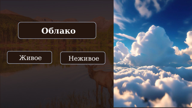  Облако  Живое  Неживое 