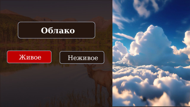  Облако  Живое  Неживое 