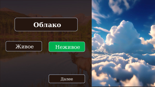  Облако  Живое  Неживое Далее 