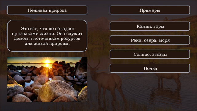 Неживая природа Примеры  Это всё, что не обладает признаками жизни. Она служит домом и источником ресурсов для живой природы.  Камни, горы  Реки, озера. моря  Солнце, звезды  Почва 