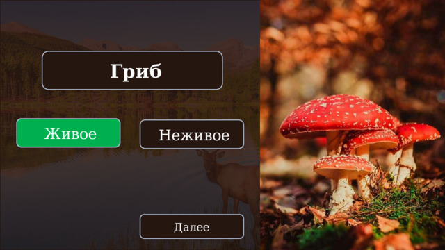 Гриб  Живое  Неживое Далее 
