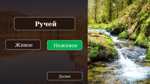  Ручей  Живое  Неживое Далее 