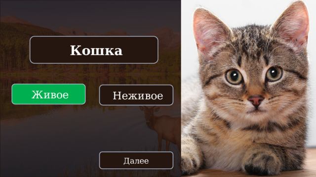  Кошка  Живое  Неживое Далее 