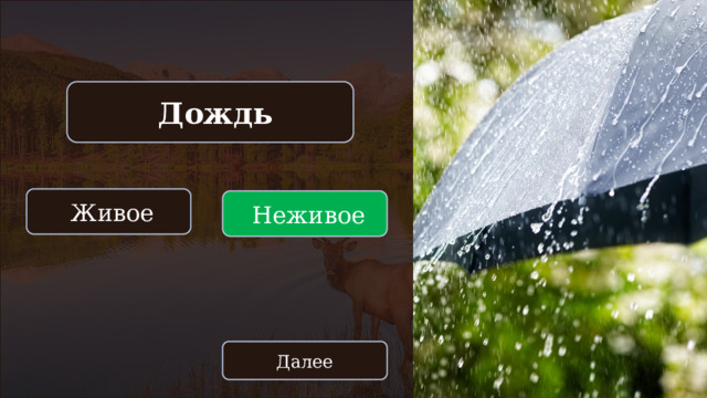  Дождь  Живое  Неживое Далее 