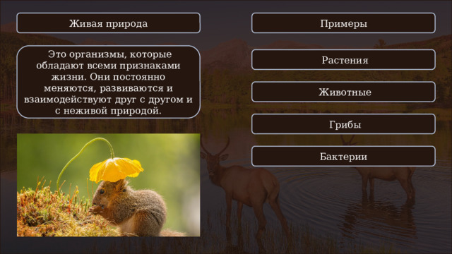 Живая природа Примеры  Это организмы, которые обладают всеми признаками жизни. Они постоянно меняются, развиваются и взаимодействуют друг с другом и с неживой природой.  Растения  Животные  Грибы Бактерии 
