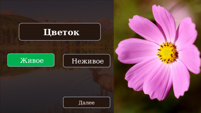  Цветок  Живое  Неживое Далее 