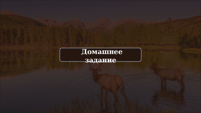  Домашнее задание 