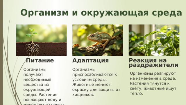 13 Организм и окружающая среда Питание Адаптация Реакция на раздражители Организмы приспосабливаются к условиям среды. Животные меняют окраску для защиты от хищников. Организмы получают необходимые вещества из окружающей среды. Растения поглощают воду и минералы из почвы. Организмы реагируют на изменения в среде. Растения тянутся к свету, животные ищут тепло. 