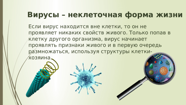Вирусы – неклеточная форма жизни Если вирус находится вне клетки, то он не проявляет никаких свойств живого. Только попав в клетку другого организма, вирус начинает проявлять признаки живого и в первую очередь размножаться, используя структуры клетки-хозяина. 