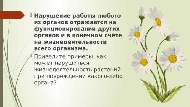 Нарушение работы любого из органов отражается на функционировании других органов и в конечном счёте на жизнедеятельности всего организма. Приведите примеры, как может нарушиться жизнедеятельность растений при повреждении какого-либо органа? 