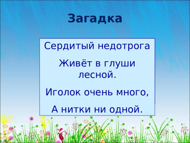 Загадка Сердитый недотрога Живёт в глуши лесной. Иголок очень много, А нитки ни одной. 