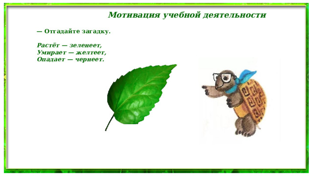 Мотивация учебной деятельности — Отгадайте загадку.  Растёт — зеленеет, Умирает — желтеет, Опадает — чернеет. 