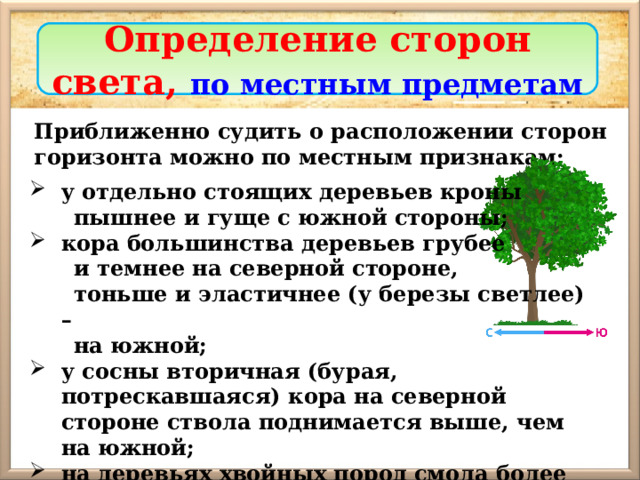 Определение сторон света, по местным предметам Приближенно судить о расположении сторон горизонта можно по местным признакам: у отдельно стоящих деревьев кроны  пышнее и гуще с южной стороны; кора большинства деревьев грубее  и темнее на северной стороне,  тоньше и эластичнее (у березы светлее) –  на южной;  у сосны вторичная (бурая, потрескавшаяся) кора на северной стороне ствола поднимается выше, чем на южной; на деревьях хвойных пород смола более обильно накапливается с южной стороны; 
