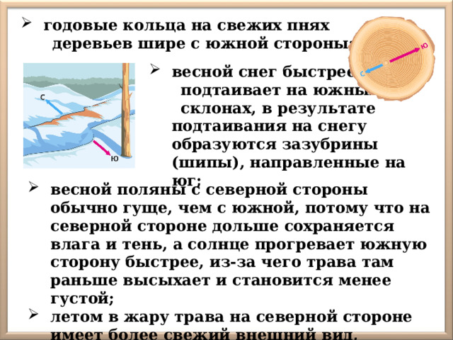годовые кольца на свежих пнях  деревьев шире с южной стороны; весной снег быстрее  подтаивает на южных  склонах, в результате подтаивания на снегу образуются зазубрины (шипы), направленные на юг; весной поляны с северной стороны обычно гуще, чем с южной, потому что на северной стороне дольше сохраняется влага и тень, а солнце прогревает южную сторону быстрее, из-за чего трава там раньше высыхает и становится менее густой; летом в жару трава на северной стороне имеет более свежий внешний вид, 