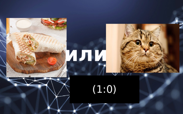 или (1:0) (0,5;0,5) 