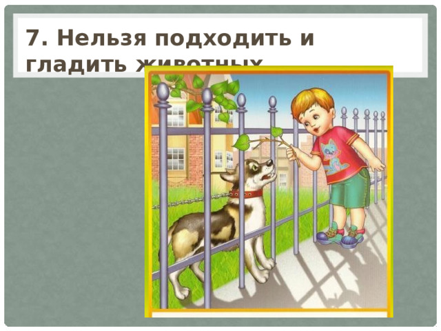 7. Нельзя подходить и гладить животных. 