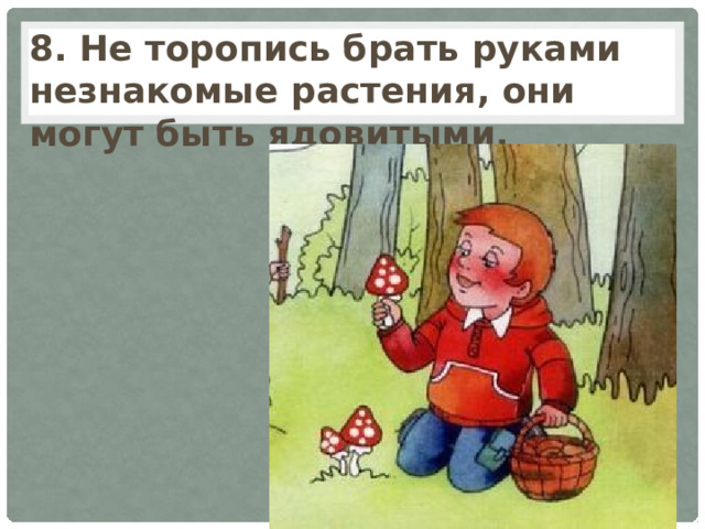 8. Не торопись брать руками незнакомые растения, они могут быть ядовитыми. 