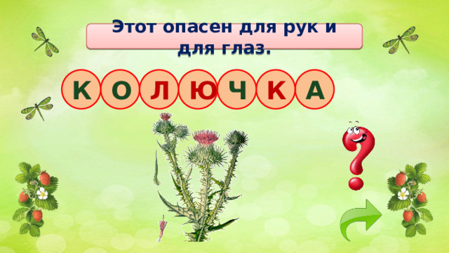 Этот опасен для рук и для глаз. А К Ч О Л Ю К 