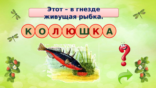 Этот – в гнезде живущая рыбка. К Ш О Л Ю А К 