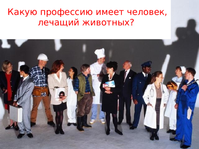 Какую профессию имеет человек, лечащий животных? 