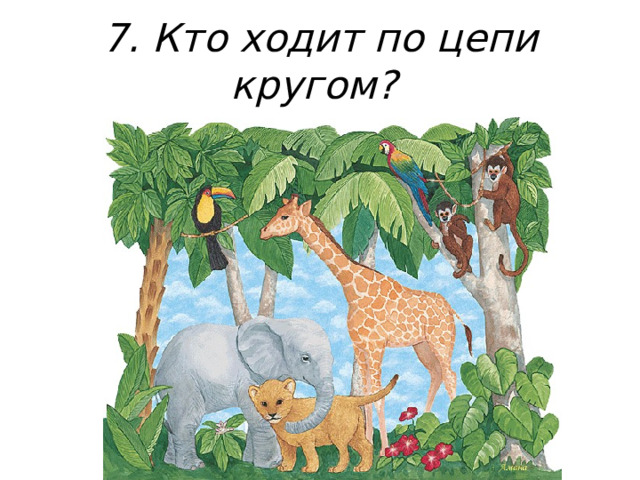 7. Кто ходит по цепи кругом? 