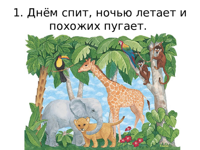 1. Днём спит, ночью летает и похожих пугает. 