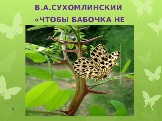 В.А.Сухомлинский «Чтобы бабочка не укололась»  