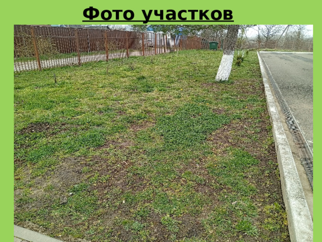 Фото участков  