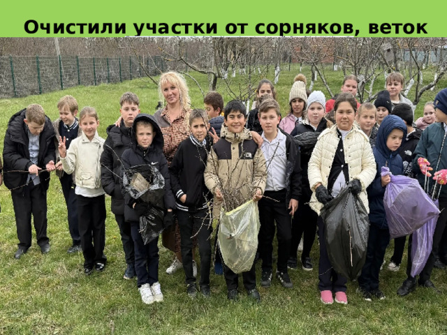 Очистили участки от сорняков, веток и поросли 