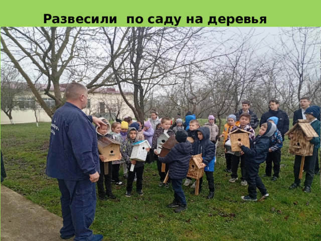 Развесили по саду на деревья скворечники  