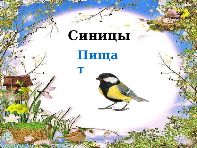 Синицы Пищат 