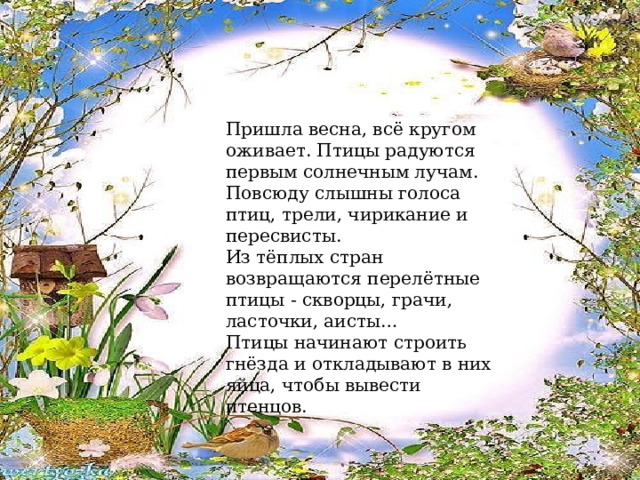 Пришла весна, всё кругом оживает. Птицы радуются первым солнечным лучам. Повсюду слышны голоса птиц, трели, чирикание и пересвисты. Из тёплых стран возвращаются перелётные птицы - скворцы, грачи, ласточки, аисты… Птицы начинают строить гнёзда и откладывают в них яйца, чтобы вывести птенцов. 