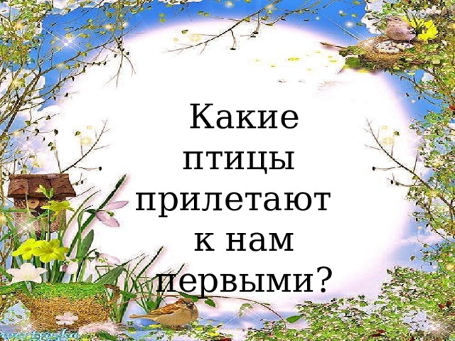 Какие птицы прилетают к нам первыми? 