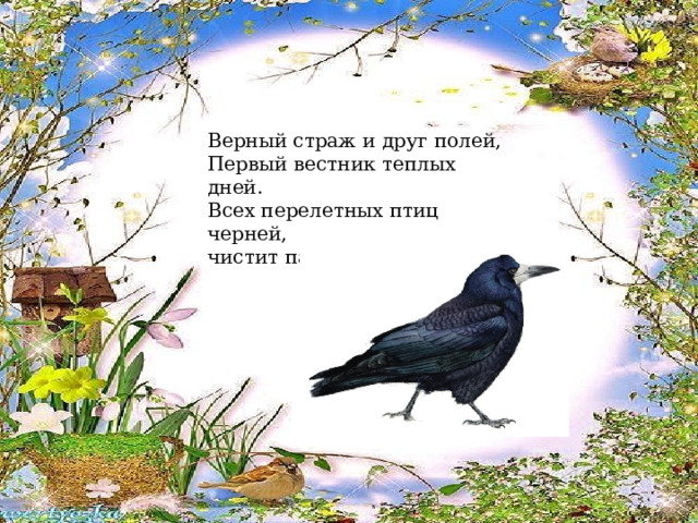 Верный страж и друг полей, Первый вестник теплых дней. Всех перелетных птиц черней, чистит пашню от червей.                                       (Грач) 
