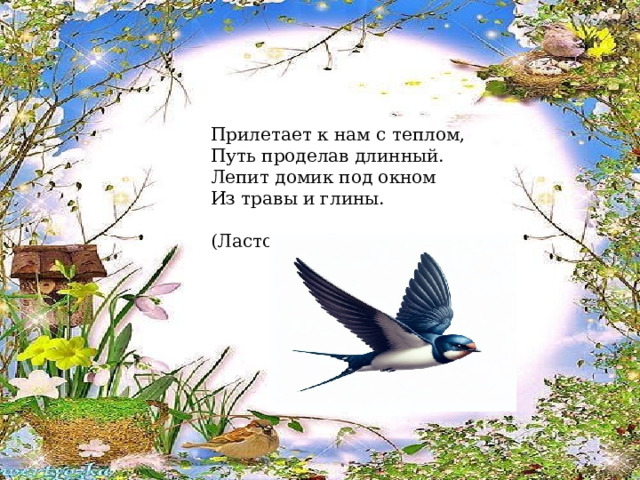 Прилетает к нам с теплом, Путь проделав длинный. Лепит домик под окном Из травы и глины.                                       (Ласточка) 