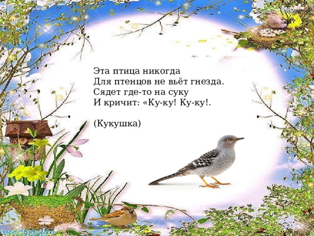 Эта птица никогда Для птенцов не вьёт гнезда. Сядет где-то на суку И кричит: «Ку-ку! Ку-ку!.                                       (Кукушка) 