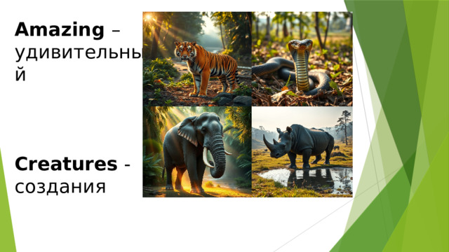 Amazing –удивительный Creatures -создания 