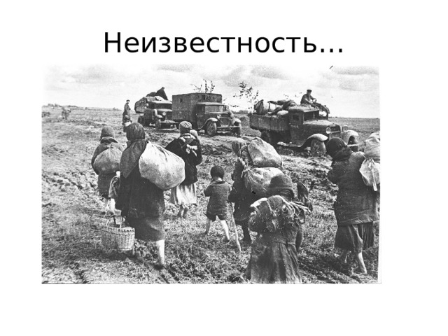 Неизвестность… 